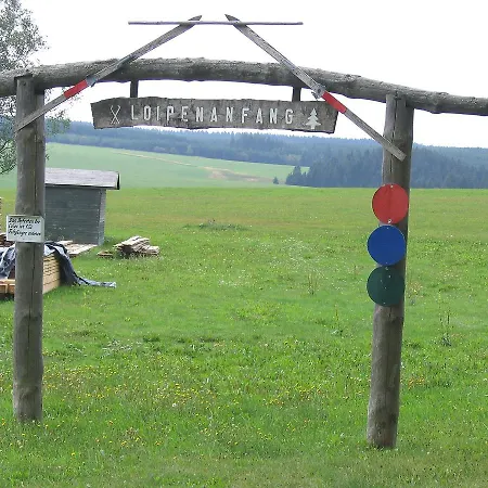 Tannenpark.1 * Tanne